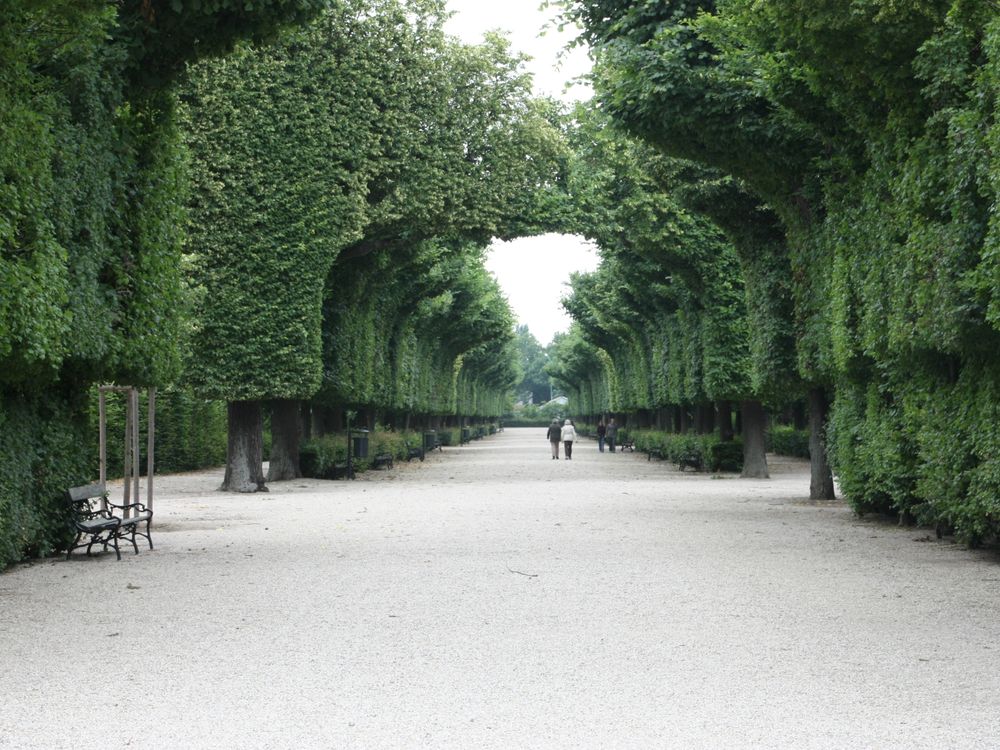 A broad public park path lined with leafy trees and benches
